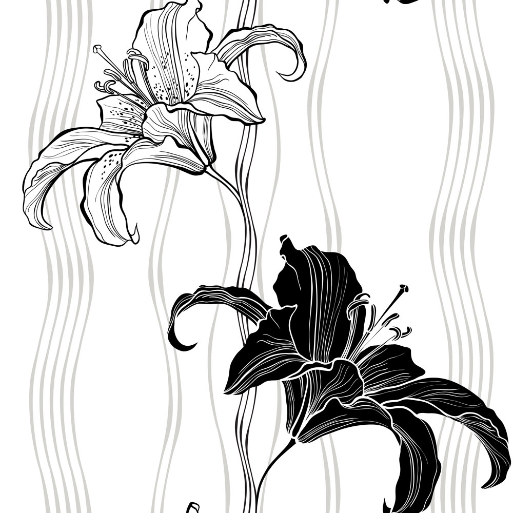 lily.01 - grafica